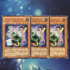 パペットプラント STON ノーマル