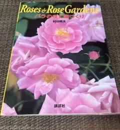 Item thumbnail for item 6cb64bac-a4ff-40e3-a1ea-e5eb4ef2d15b