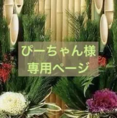 羊毛フェルト　ぴーちゃん様専用ページ