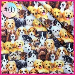 ♯① 3D 生地 布 ハンドメイド 洋裁 生地 パッチワーク 手芸 犬