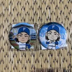 【伊藤大海】ファイターズガチャ 缶バッジ