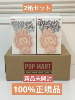2025年最新】POPMART labubu シークレットの人気アイテム - メルカリ