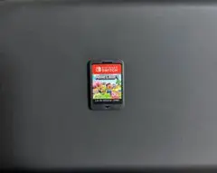 Minecraft Nintendo Switch マインクラフト