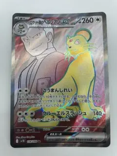 2025年最新】r団のペルシアンの人気アイテム - メルカリ