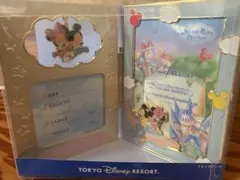 みー様✳︎東京ディズニーリゾート フォトスタンド　ミッキー＆ミニー