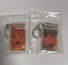 ハイキュー アクリルタグコレクション キーホルダー 影山 日向