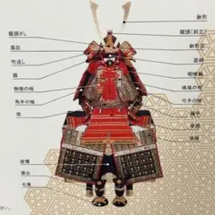 【未使用】五月人形 鎧兜一式 京製 大鎧 平安光雲作 赤革胴 不動明王 鎧 未使用】五月人形 鎧兜一式 京製 大鎧 平安光雲作 赤革胴 不動明王 鎧