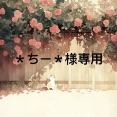 ＊ちー＊ 様　専用