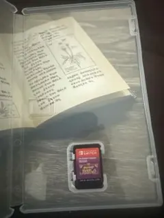 ポケットモンスター バイオレット Nintendo Switch