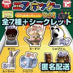 ★シークレット入り★ エアホッケー アクリルキーチェーン Vol.2 ガチャ