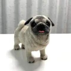 羊毛フェルト 犬　パグのサムネイル