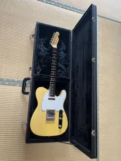 2025年最新】テレキャスター ハード ケースの人気アイテム