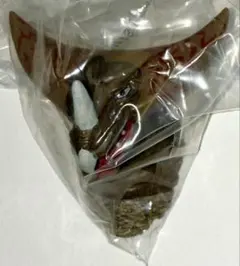 一番くじ ウルトラマン 怪獣超大全 F賞 怪獣頭鑑 ウルトラ怪獣 ゴモラ
