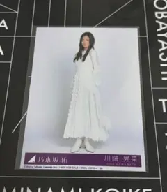 川端晃菜 生写真 My respect アルバム 封入 乃木坂46 ヒキ