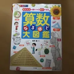 Item thumbnail for item 03b8e0ed-622f-49ec-9ee2-c80f6c9d2be9