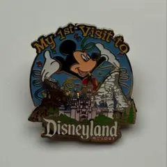 2025年最新】カリフォルニアディズニーピンバッジの人気アイテム