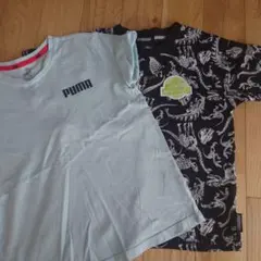 140cmTシャツ2枚組