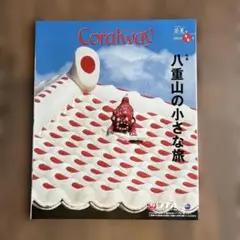 沖縄ガイドブック コーラルウェイ coralway JTA 機内冊子 八重山