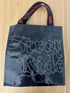 stray kids アプグレ　アップグレード　全グッズ Stray Kids | Info