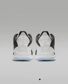 NIKE AIR JORDAN Courtside 23