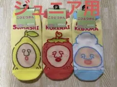 新品★こびとづかん 靴下 ジュニア用 3種類 セット