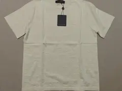 LOUIS VUITTON グラディエント シグネチャー 半袖Tシャツ M