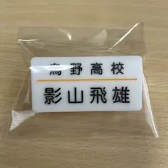 影山飛雄 キャラクターグッズ