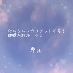 専用ページ