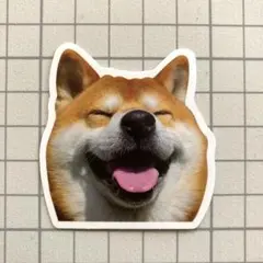 ビービー様 リクエスト 3点 まとめ商品