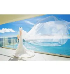 2025年最新】アールイズ ベールの人気アイテム - メルカリ