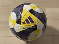 サッカーボール 5号球 公式球