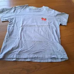 Item thumbnail for item e0820901-d46d-4e5a-827b-917fd611b589