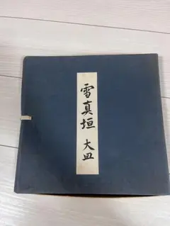HOYA ガラス皿 雪真垣 大皿のサムネイル