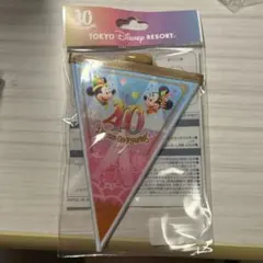 ディズニー40周年 ドリームガーランド