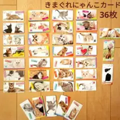 きまぐれにゃんこカード 36枚セット