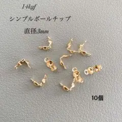 新商品　高品質　14kgf ボールチップ　10個　3mm