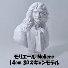 大型85cm モリエール 石膏像 美大デッサン用 胸像 状態良好 - メルカリ