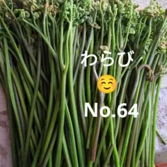 わらび(紀伊山地)500g - メルカリ