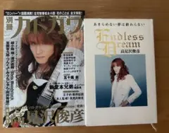 高見沢俊彦Endless Dream 高見沢俊彦　カドカワ　2点セット