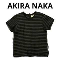 美品　アキラナカ AKIRANAKA シアー ボーダー トップス　カットソーのサムネイル