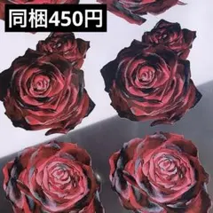 Item thumbnail for item 1ccc8266-2cc9-417b-a4ee-4d20a296b705