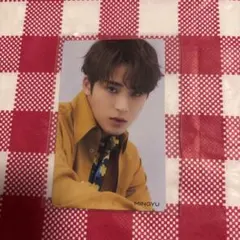 SEVENTEEN セブチ ミンギュ ひとりじゃない HMVトレカ