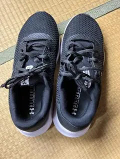 Item thumbnail for item d2db1545-937e-4d65-8a1a-f2136cdb070c