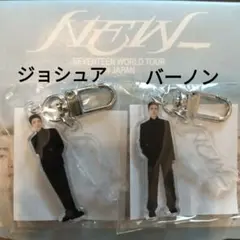 SEVENTEEN　ジョシュア＆バーノンセット