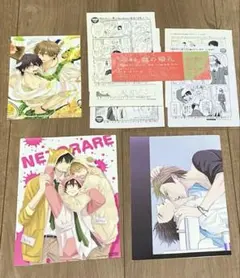 抱かれたい男1位に脅されています　特典　アニメイト　小冊子　セット