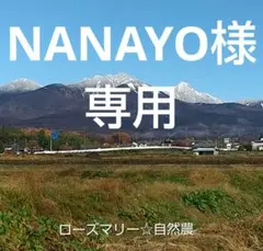 NANAYO様 リクエスト 3点 まとめ商品
