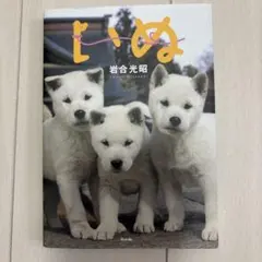 いぬ 岩合光昭 写真集