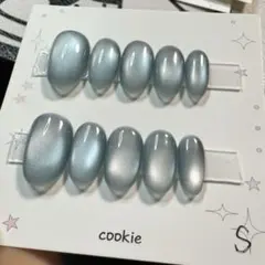 【セツ】マグネット　ネイルチップ　付け爪(A1359)