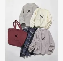 エニィスィス フェミニントータルコーディネート スカートのみ