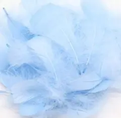 ෆෆෆフェザーシャワーライトブルーෆෆෆ100枚❤匿名配送